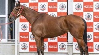 「前走からシルエットが一変」 府中牝馬Sで巻き返し期待の重賞ウイナー