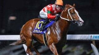 【川崎・川崎スパーキングスプリント結果】エンテレケイアが逃げ切って重賞4勝目を挙げる