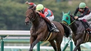 【しらさぎS展望】米子Sが格上げで新設 サマーマイルシリーズの初戦