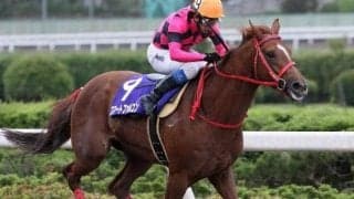 スマートファルコンのさきたま杯V2から15年 4馬身差の圧勝で達成した史上初