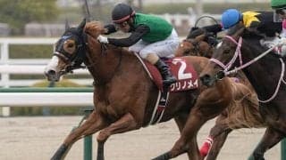 【川崎・関東オークス注目馬】3歳牝馬の頂点決する“砂のオークス” チューリップ賞覇者クリノメイなどが参戦