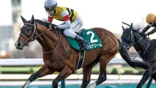 【函館記念想定】アルナシームやデシエルトなど16頭