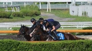 バズアップビート、ラジオNIKKEI賞1週前追い切り速報/栗東トレセンニュース