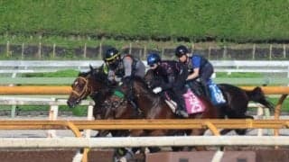 サンライズジパング、帝王賞追い切り速報/栗東トレセンニュース