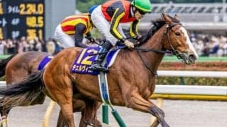 【しらさぎS】オークス馬がGIII制覇なら20年ぶり！ チェルヴィニアが復活Vなるか