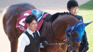 【しらさぎS】川田将雅騎手が1年2カ月ぶりのテン乗り重賞制覇なるか 重賞3勝のレーベンスティールと初タッグだ