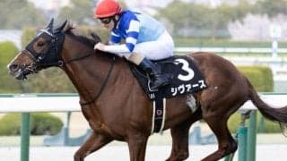 【しらさぎS】「大魔神」佐々木主浩オーナーのシヴァース 重賞初制覇なるか