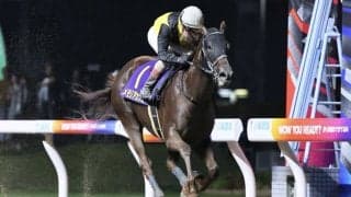 【関東オークス】メモリアカフェが5馬身差圧勝…交流重賞初制覇