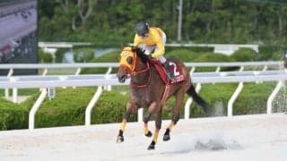 牝馬競走振興の象徴「グランダム・ジャパン」2025、3歳シーズンは愛知のコパノエミリアが頂点に