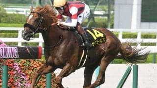 重賞馬は10頭超え しらさぎS前身の米子Sを制した馬たち
