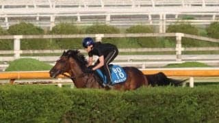 ラムジェット、帝王賞追い切り速報/栗東トレセンニュース