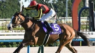 【しらさぎS出走馬・騎手確定】チェルヴィニア＆C.ルメール騎手、レーベンスティール＆川田将雅騎手など14頭