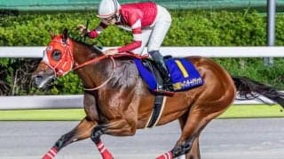 半兄はフォーエバーヤング ダーリングハーストが芝マイルでデビュー勝ち狙う