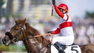 半兄はダノンデサイル ブレイントゥルーが待望の復帰戦だ