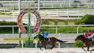 【園田FCスプリント】ユアマイドリームが電光石火の逃走劇！園田FCスプリントで3歳牝馬が古馬撃破