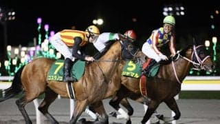 【さきたま杯】コスタノヴァなどJRA馬は5頭