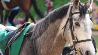 米子S史上唯一の3歳馬V スマイルカナの一戦