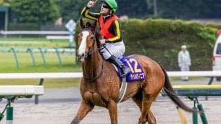 【しらさぎS枠順確定】チェルヴィニアは5枠7番、レーベンスティールは4枠6番