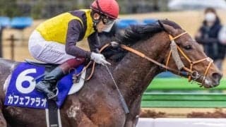 半兄はフェブラリーS連覇のカフェファラオ アルカディアカフェがデビューV狙う