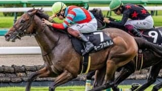 【しらさぎS】半妹がオークスV キープカルムが負けじと重賞初制覇なるか