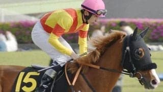 半兄はペプチドナイル ハセドンが1年半ぶりの復帰戦