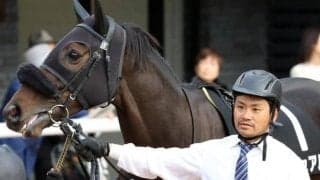 スレイプニルSはリチュアルに注目 外枠から先行粘り込みだ