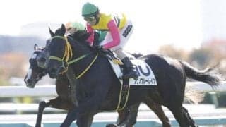 【ラジオNIKKEI賞想定馬・騎手】フクノブルーレイク、センツブラッドなど14頭