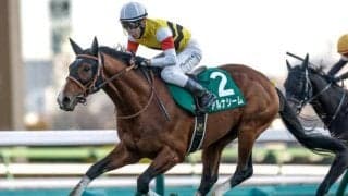 【函館記念想定馬・騎手】アルナシーム、ハヤテノフクノスケなど14頭