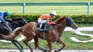 【今日の注目ポイント】新馬戦にクロワデュノールの全弟チャリングクロスなどが登場