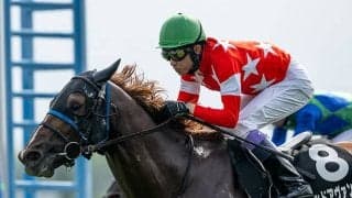 【STV杯】波乱傾向の函館芝1200m戦 高配当のポイントは距離短縮組か