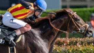 【スレイプニルS】人気馬苦戦のダート戦 8枠の複勝率は42％