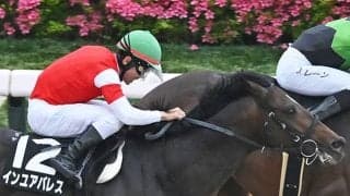 【天保山S】2桁人気も馬券圏にぎわす 脚質別では逃げ馬が上々