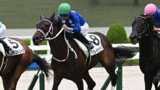 【阪神5R新馬戦結果】タイセイボーグが競り合いを制す インディチャンプ産駒のJRA初勝利