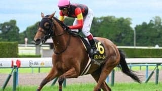 【府中牝馬S予想】前走の走りは鵜呑みにできず!? 血統や馬場状態から軽視したい人気馬とは