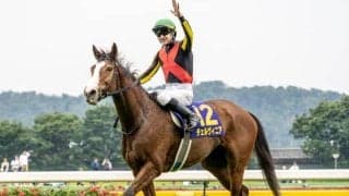 【しらさぎS予想】阪神芝1600mの適性に不安あり!? 近況のリズムもひと息で軽視したい実力馬とは