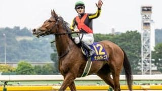 【しらさぎS前日オッズ】チェルヴィニアが3.7倍で1番人気