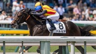 【新馬/東京6R】3番人気ペルセアがデビューV…カフェファラオ半弟は2着