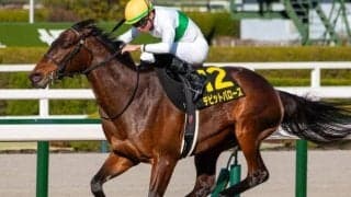 阪神芝は外枠ベター デビットバローズが強敵撃破だ