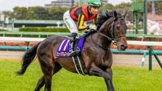 半兄は皐月賞馬のミュージアムマイル フェスティバルヒルが初陣Vなるか