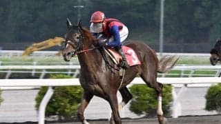 【高知・御畳瀬特別】ユメノホノオが3馬身差で快勝！韓国遠征明けも貫禄の連覇達成