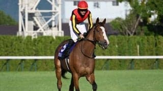 【今日の注目ポイント】府中牝馬Sと阪神で新設重賞・しらさぎS