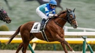 【しらさぎS予想】米子Sを前身とするGIII重賞 サマーマイルシリーズの幕開け