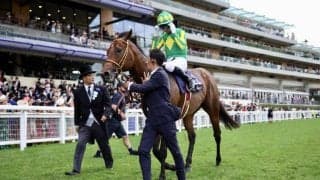 【英クイーンエリザベス2世ジュビリーS】サトノレーヴ大健闘2着モレイラ