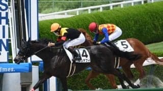 【阪神6R新馬戦結果】ルヴァンスレーヴ産駒シュテフィが初陣飾る