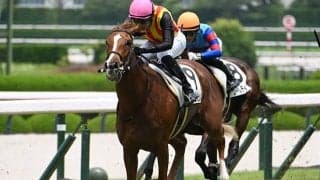 【阪神5R新馬戦結果】ミュージアムマイルの半妹フェスティバルヒルが人気に応えてV