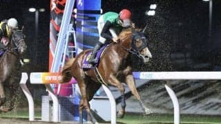 【関東オークス】佐々木「適性を見せてくれました」初ダートのクリノメイは4着