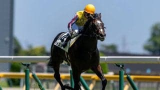 【新馬/東京6R】伏兵ランドスターが波乱を演出