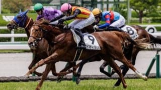 【新馬/阪神5R】ミュージアムマイル半妹・フェスティバルヒルが断然の支持に応える