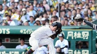 阪神・中野に頭部死球　150キロ直撃も自力で立ち上がる…津森は危険球退場、甲子園騒然