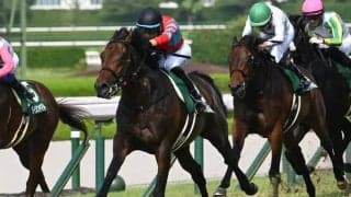 【JRA・WIN5】3レース目の波乱で的中3票！ 配当1億7550万4160円！